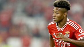 Roger e a convocatória de Neres para a seleção do Brasil: «Acabou por merecer pelo que tem feito no Benfica»