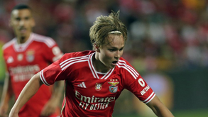 Schjelderup pensa voltar ao Benfica: «Sou um jogador melhor do que era quando deixei o clube»