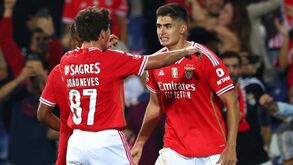 António Silva reage à vitória do Benfica e destaca 