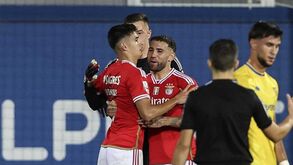 Fim do jogo com o Estoril com contrastes entre os benfiquistas