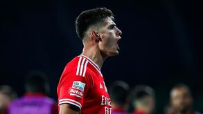 António Silva, o miúdo que quer ser capitão do Benfica