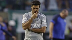 Abel Ferreira irritado com... 'toupeira'