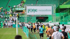 Corrida Sporting está a chegar: Enchente à vista na festa leonina