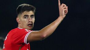 Luís Castro aprova António Silva a capitão do Benfica