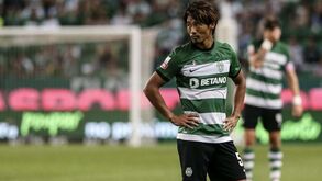 Analista avalia possibilidades de Morita na Bundesliga: «Preparado para jogar em qualquer liga europeia»