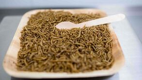 Larvas em tartes, bolos, barras proteicas e massas