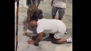 Mike Tyson fez um novo amigo: Imagens já se tornaram virais...