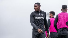 Essugo tem lugar em onze renovado 