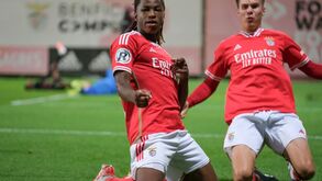 Benfica-Estrela da Amadora, 1-0: Ivan Lima relança águia
