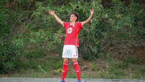 Benfica-Farense, 5-0: Águia sem piedade