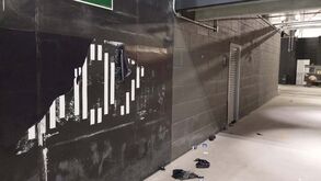 «Cheguei aqui doida para fazer xixi...»: adeptas do Cruzeiro e os WC sem portas no estádio do Atlético-MG