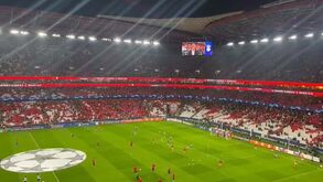 Jonas subiu ao relvado da Luz antes do Benfica-Real Sociedad e recebeu vénias dos adeptos