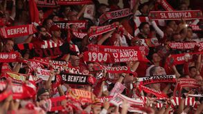 20 anos, 20 momentos: as imagens que marcam a história do Estádio da Luz