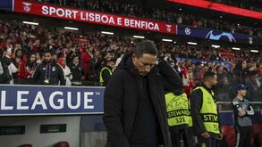 Benfica protege Schmidt: alemão faz parte do projeto