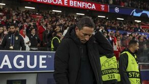 «Roger Schmidt está perdido, apático e com dificuldade em ler o jogo»
