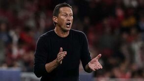 Lapsos de Schmidt motivam críticas