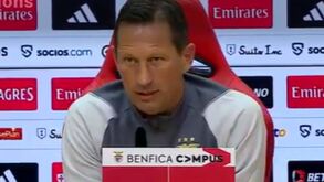 Schmidt questionado sobre derrotas do Benfica na Champions: «É uma boa pergunta...»