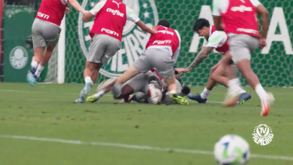 Loucura: Abel Ferreira marca golo da vitória em treino do Palmeiras e a reação dos jogadores é imperdível