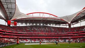 O onze do Benfica para a receção ao Casa Pia: Schmidt faz mudanças em todos os setores