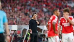 Roger Schmidt: «Esquecemo-nos de decidir, de marcar mais do que um golo»