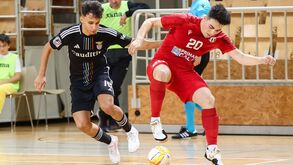Benfica goleia e segue para a Ronda de Elite da Liga dos Campeões em futsal