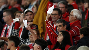 Bancadas da Luz sem perdão após novo desaire do Benfica