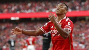 Lesões provocam razia no Benfica