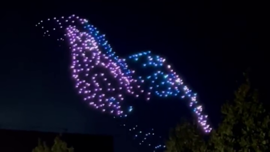 Magpies recebem o PSG na quarta-feira em jogo da fase de grupos
