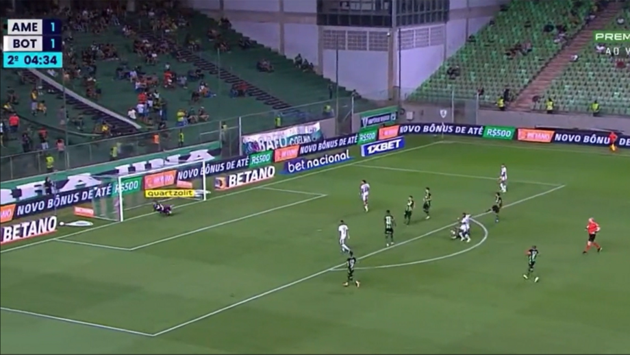 No triunfo do 'fogão' sobre o América Mineiro (2-1)