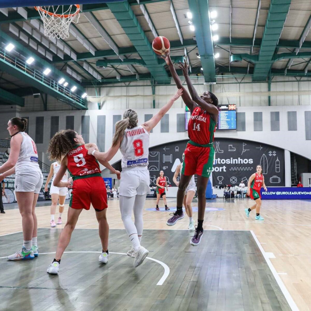 Portugal lidera a pré-qualificação e aproxima-se do Europeu de basquetebol  - JPN