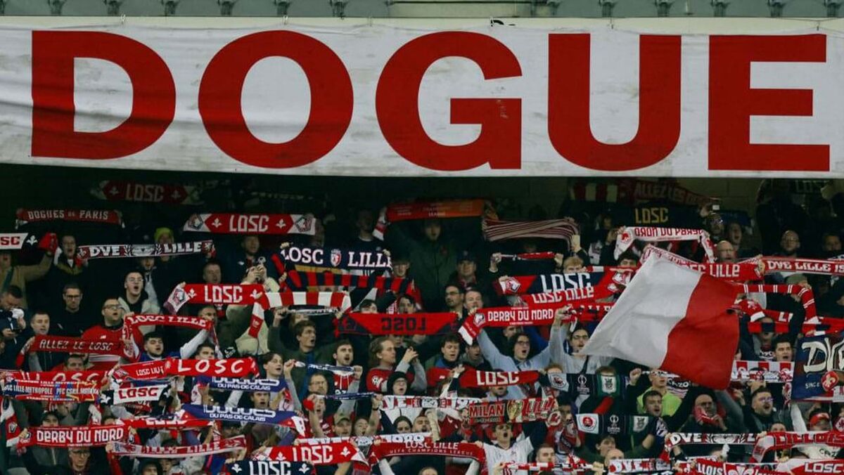 Futebol: Lille tenta ficar 'vivo' na Liga dos Campeões