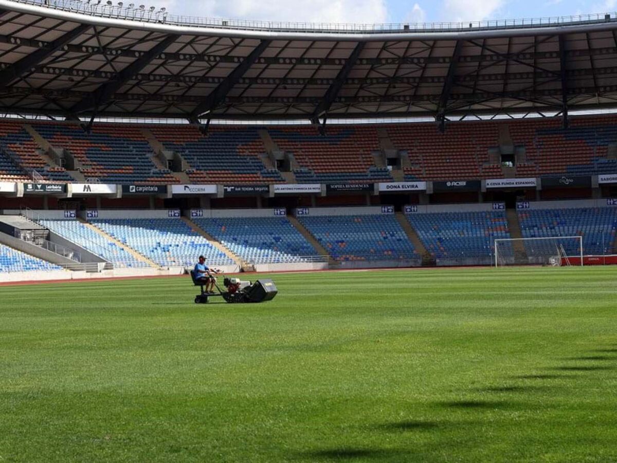 Polícia carregou sobre adeptos e claque do Sporting após o jogo de hóquei  com o Benfica - Vídeos - Jornal Record