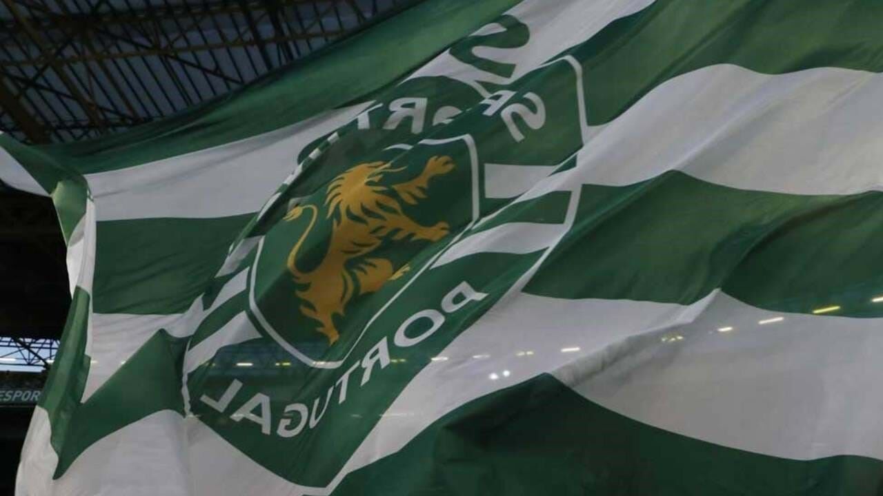 Este leão é candidato a entrar na história: Sporting pode chegar aos 22  jogos sem derrotas - Sporting - Jornal Record