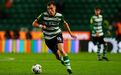 7. Manuel Ugarte (Sporting - Paris Saint-Germain, 2023), 60 M€