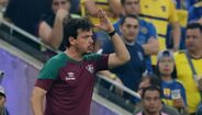 22. Fernando Diniz (Fluminense/Brasil)
