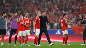 Ver: Roger Schmidt: Vamos fazer tudo para ganhar o jogo em Direto