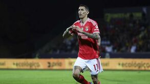 As notas dos jogadores do Benfica frente ao Arouca: a bola nunca chora nos pés de Di María