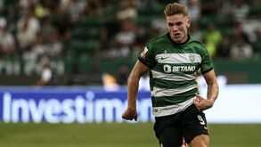 Gyökeres e mais 10: o onze provável do Sporting para o jogo com o Farense