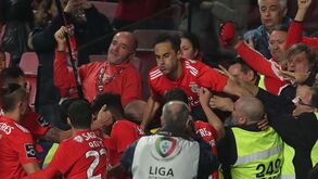 O momento no Benfica que Jonas não esquece: «Chegar lá fora e ver aquela onda vermelha...»
