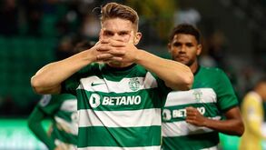 Os números do canibal Gyökeres: sueco está entre os melhores do Sporting nos últimos 50 anos