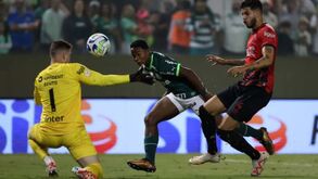 Abel Ferreira: «Turbulência? Vem mais da imprensa...»