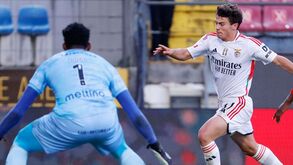 Evolução de João Neves foi caso raro no Seixal: entre os 16 e os 17 anos já estava no topo do processo