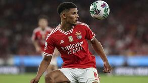 Roger Schmidt confirma quatro baixas no Benfica para o dérbi com o Sporting