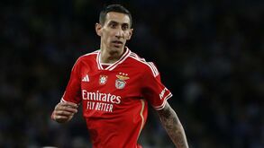 Pochettino compara jogador do Chelsea a Di María: «Pela postura corporal, pela forma como se move...»
