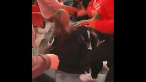 Tensão nas bancadas da Luz: o momento em que arrancaram cachecol a adepta do Sporting