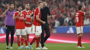 Professor Neca vê imagem de Schmidt reforçada com triunfo no dérbi: «Benfica tem-se reerguido e está a melhorar»