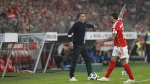 Roger Schmidt dá quatro dias de folga e plantel do Benfica só treina na 6.ª feira