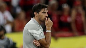 Brasileiros dizem que Abel Ferreira está a ponderar seriamente deixar o Palmeiras no final do ano