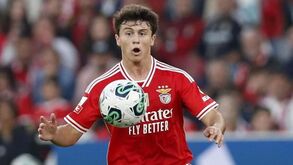 «João Neves é o melhor jogador do Benfica. Não acredito que hoje valha os 100 milhões»