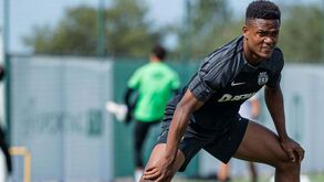 Passe de Geny Catamo congelado: Amora recusou terceira proposta do Sporting